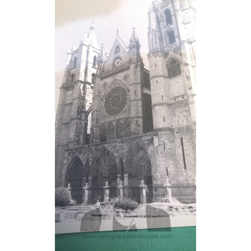 CATEDRAL DE LEÓN