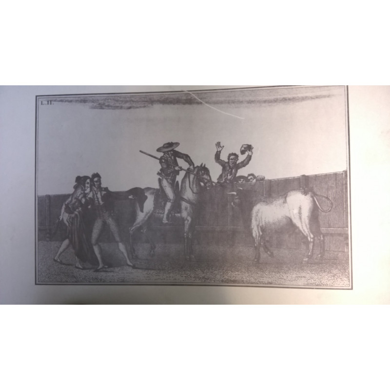 LÁMINA TAUROMAQUIA SUERTES