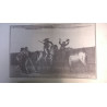 LÁMINA TAUROMAQUIA SUERTES