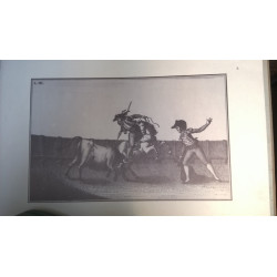 LÁMINAS TAUROMAQUIA GOYESCA