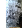 PARAJE RURAL NIÑOS