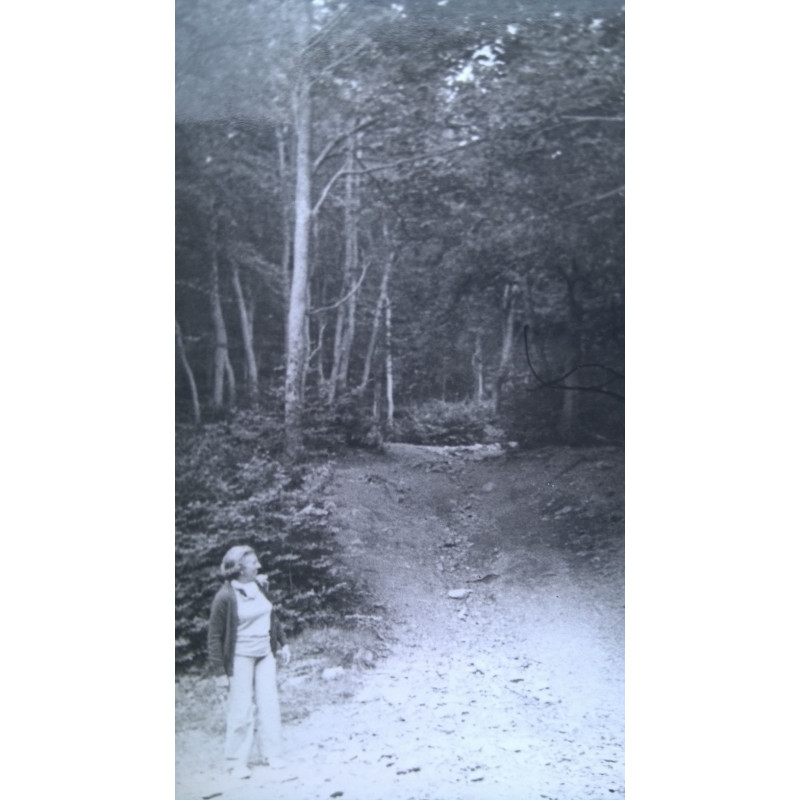 EN EL BOSQUE