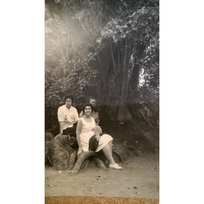 TRES PERSONAS BOTÁNICO