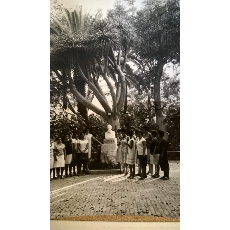 BUSTO EN JARDÍN