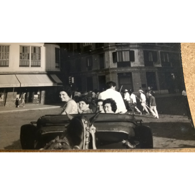 COCHE CABALLOS MALAGA