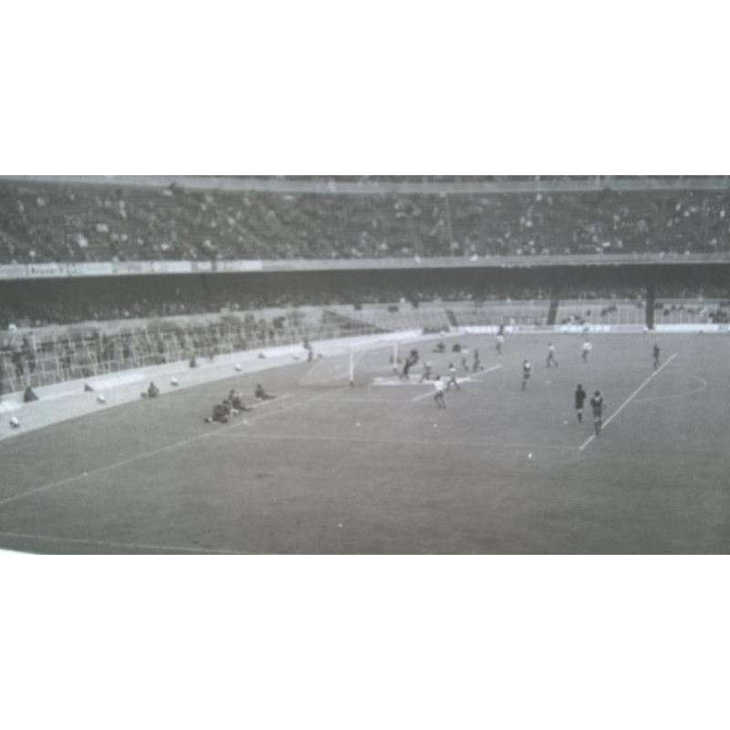 PARTIDO DE FUTBOL