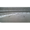 PARTIDO DE FUTBOL