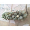RACIMO DE JADE VERDE GRANDE