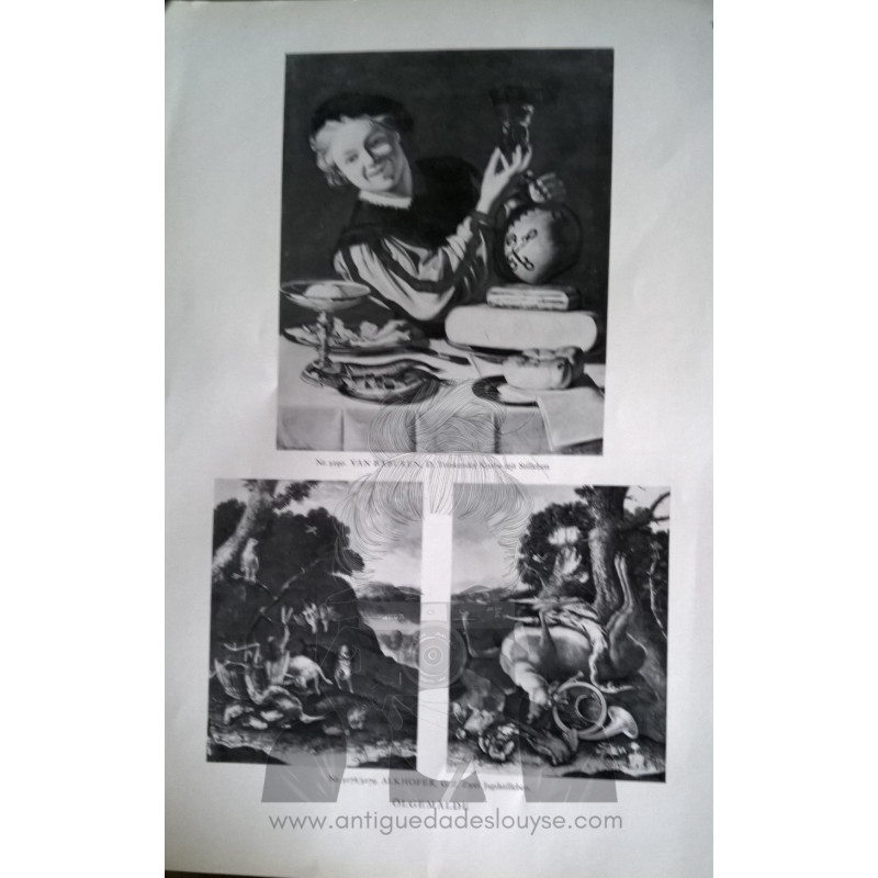 LAMINA ALEMANA CON ILUSTRACIONES