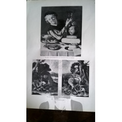 LAMINA ALEMANA CON ILUSTRACIONES