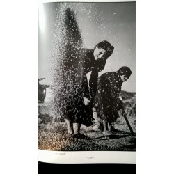 GRANDES FOTÓGRAFOS EUGENE SMITH