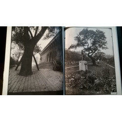 GRANDES FOTOGRAFOS. EUGÈNE ATGET