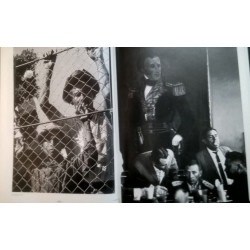 GRANDES FOTOGRAFOS. CORNELL CAPA