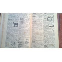 PETIT LARUSSE ILLUSTRÉ