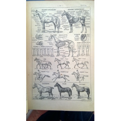 PETIT LARUSSE ILLUSTRÉ