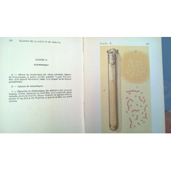 PATOLOGÍA INTERNA. LENGUA FRANCESA