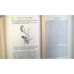PATOLOGÍA INTERNA. LENGUA FRANCESA