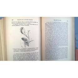 PATOLOGÍA INTERNA. LENGUA FRANCESA