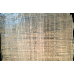 PAPIRO EGIPCIO ANNUBIS Y  SENEDYEYEN