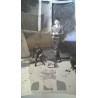 NIÑO CON PAREJA DE PERROS