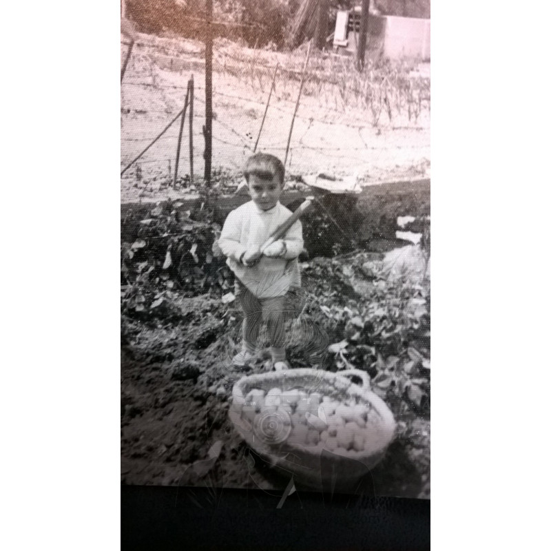 NIÑO CON HERRAMIENTA