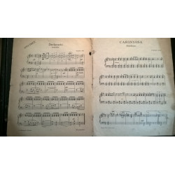 LA MARE CANTORA SARDANA. VICENS BOU