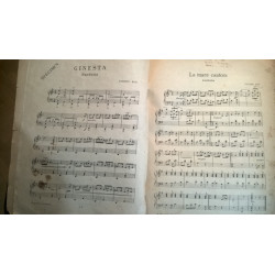 LA MARE CANTORA SARDANA. VICENS BOU