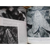 HISTORIA NATURAL. GALLACH  VOLUMEN ZOOLOGÍA E INVERTEBRADOS