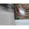 HISTORIA NATURAL. GALLACH  VOLUMEN ZOOLOGÍA E INVERTEBRADOS