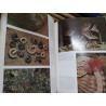HISTORIA NATURAL. GALLACH  VOLUMEN ZOOLOGÍA E INVERTEBRADOS