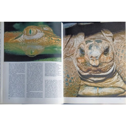 HISTORIA NATURAL. INSTITUTO GALLACH VERTEBRADOS