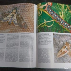 HISTORIA NATURAL OBRA COMPLETA  GALLACH