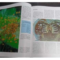 HISTORIA NATURAL OBRA COMPLETA  GALLACH