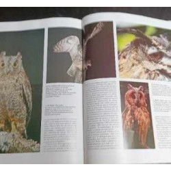 HISTORIA NATURAL OBRA COMPLETA  GALLACH