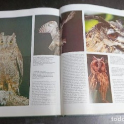 HISTORIA NATURAL OBRA COMPLETA  GALLACH