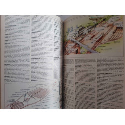 DICCIONARIO  ENCICLOPEDICO ILUSTRADO SIGLO XXI LAROUSE