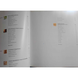 EL ARTE DE LA COCINA. UNIVERSO DE SABORES