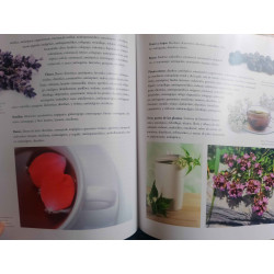 EL ARTE DE LA COCINA. UNIVERSO DE SABORES