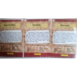 MUSICARDS.  CROMOS  GRUPOS  MUSICALES. EDITORIAL PANINI