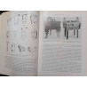 HISTORIA GENERAL DEL ARTE. SUMMA ARTIS. JOSÉ PIJOAN. VOL. XX. EL ARTE DE LA CHINA