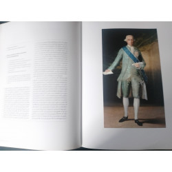 IMPORTANTE LIBRO  DE CAMPOMANES Y SU TIEMPO. HISTORIA DE ESPAÑA