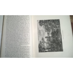 LIBRO MUSÉE DU LOUVRE