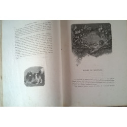 REINES DU MONDE.